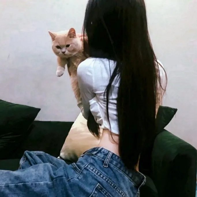 阿宝的故事 在线观看